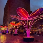 Květy na sněhu? Pohádkovou představu změnili v realitu. Vypadají kouzelně a přináší radost. Zdroj: TILT