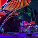 Květy na sněhu? Pohádkovou představu změnili v realitu. Vypadají kouzelně a přináší radost. Zdroj: TILT