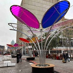 Květy na sněhu? Pohádkovou představu změnili v realitu. Vypadají kouzelně a přináší radost. Zdroj: TILT