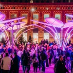 Květy na sněhu? Pohádkovou představu změnili v realitu. Vypadají kouzelně a přináší radost. Zdroj: TILT