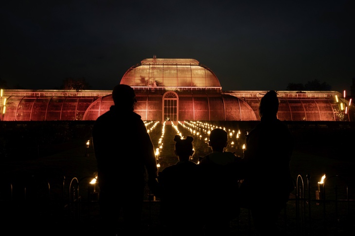 Tříkilometrová trasa letos začne u Palmového domu v Kew, toho z nejznámějších a nejčastěji fotografovaných skleníků botanické zahrady. Foto: Jeff Eden