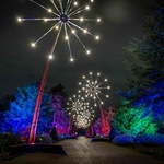 V Kew oslovují veřejnost světelnými instalacemi už do roku 2013. A postupně k těm tradičním prvkům přidávají nové. Zima je dost možná netradiční dobou k návštěvě zahrad, ale to tady neplatí. Foto: Ines Stuart-Davidson V Kew oslovují veřejnost světelnými instalacemi už do roku 2013. A postupně k těm tradičním prvkům přidávají nové. Zima je dost možná netradiční dobou k návštěvě zahrad, ale to tady neplatí. Foto: Ines Stuart-Davidson