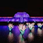 K vidění by tu kromě patnácti stálých prvků každoroční světelné výstavy mělo být i osm premiér, instalací, které prý ještě svět neviděl. Foto: Luke Dyson K vidění by tu kromě patnácti stálých prvků každoroční světelné výstavy mělo být i osm premiér, instalací, které prý ještě svět neviděl. Foto: Luke Dyson