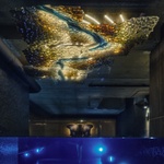 Pohled přes sklo. Foto: Bet Orten