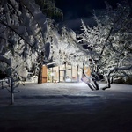 Dům pod topoly ukazuje slovinský model bydlení, které mohlo konkurovat panelákům. Foto: Tomaz Gregorič