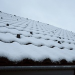 Zdroj: Aliance taškových střech