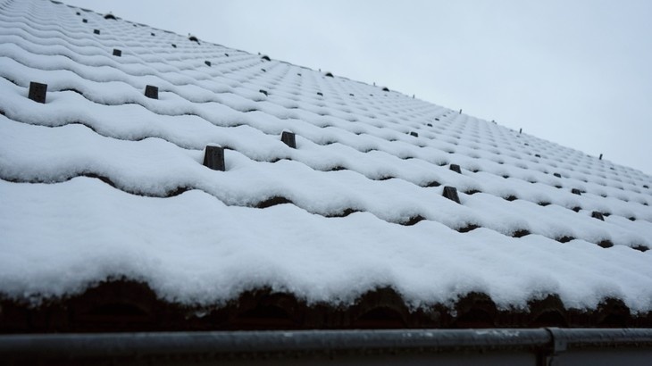 Zdroj: Aliance taškových střech