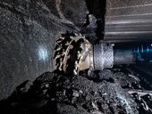 Ilustrační obrázek, zdroj: nordroden, AdobeStock