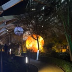 Londýnský Winter Lights Festival na Canary Wharf, foto E. Kopačková