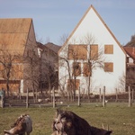 V krátkosti: sociální bydlení mělo architektonicky splynout s prostředím vesnice, a nabídnout nadstandardní kvalitu života obyvatel. Foto: Alberto Amores