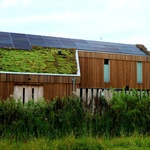 Foto: Shutterstock Foto: Shutterstock