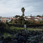 Život v kostce. Casa Rocha se vymyká konvencím. Je to špatně? Foto: Ivo Tavares Studio