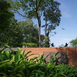 Pohled východní na střechu. Foto: BoysPlayNice