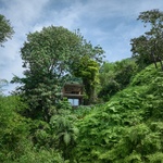 Pohled jižní do svahu. Foto: BoysPlayNice