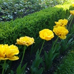 Jaro na zahradě: Jak vybrat čerpadlo, které vám usnadní zalévání. Foto: redakce