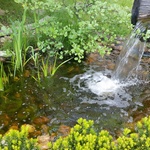 Jaro na zahradě: Jak vybrat čerpadlo, které vám usnadní zalévání. Foto: redakce