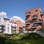 Zeleň po obvodu. Foto: BoysPlayNice