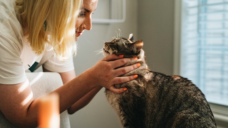 Zdroj: Lindström Czech Republic