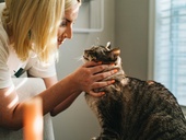 Zdroj: Lindström Czech Republic