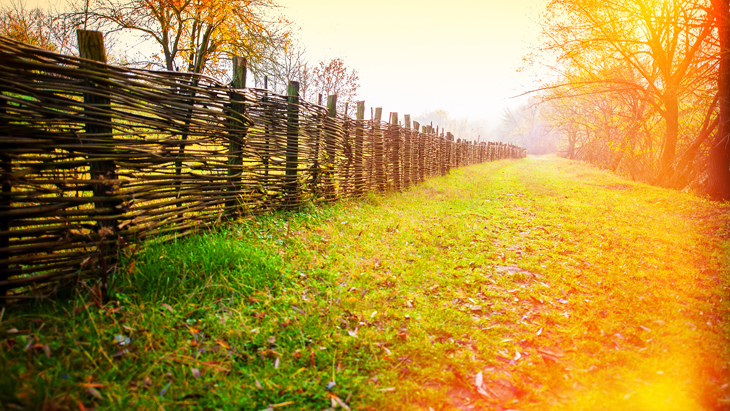Andriy Solovyov - fotolia.com Rozmanitost plotů, předělů a zástěn