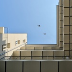 Žižkovským činžovním domům vdechnou nový život a prvorepublikovou noblesu. Zdroj: BoysPlayNice