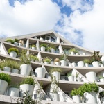 Zelené údolí je z betonu, přesto se v něm bydlí jako na lesní mýtině. Foto: Paul Lefevre Zelené údolí je z betonu, přesto se v něm bydlí jako na lesní mýtině. Foto: Paul Lefevre