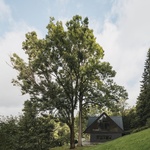 Na místě staré chalupy postavili novou: Moderně a s citem pro tradiční styl krkonošských roubenek. Foto: Petr Polák (petrpolakstudio.cz) Na místě staré chalupy postavili novou: Moderně a s citem pro tradiční styl krkonošských roubenek. Foto: Petr Polák (petrpolakstudio.cz)