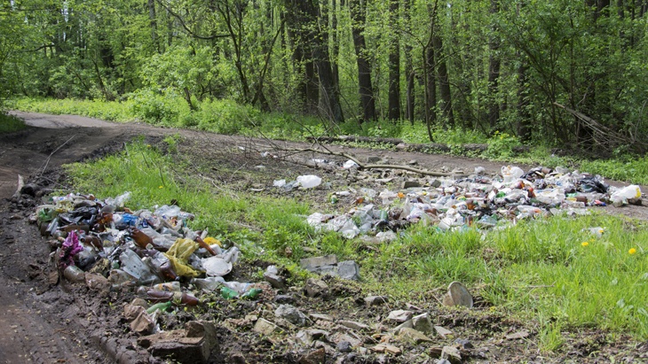 tsomka - fotolia.com Ministerstvo uvolnilo 100 mil. korun na odstranění černých skládek