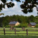 Pohled na Šargoun od západu. Tradiční silná silueta v rovině Hané na pozadí lužního lesa. © Andrea Thiel Lhotáková