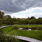 Mokřadem vede okruh povalového chodníku. Jsme pozorovatelé divoké přírody v Hanáckém Everglades. Chodník nás chrání proti „divokým“ žábám, mlžům a hadům. Vyhlídka na zastřešení stromu slouží jako intimní naučné zastavení i extrovertní vyhlídka na návštěvníky „divočiny“ na chodníku. © Andrea Thiel Lhotáková