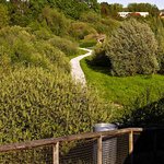 Pokud se vydáme na cestu proti hodinovým ručičkám, spatříme cestu vedoucí k mokřadům a vyhlídce nad zkamenělým stromem. © Andrea Thiel Lhotáková