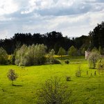 Ze střechy je možné uvidět galerie v přírodě jako celek, výtvarná díla mají své niky, které propojuje síť cest a průhledů. Střed je volný pro přírodu a dočasné intervence. © Andrea Thiel Lhotáková