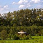Lesní chrám – centrum naučných programů, učebnice symbolik a vyhlídka na dočasné instalace a intervence ve středu areálu. © Andrea Thiel Lhotáková