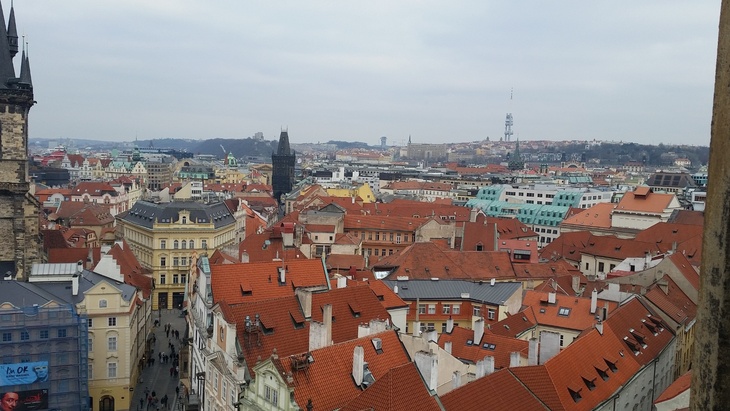 Praha, pohled s měrem k Vítkovu, foto D. Kopačková Praha, pohled s měrem k Vítkovu, foto D. Kopačková