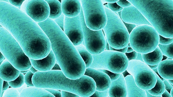zdroj: ENBRA Bakterie legionella představuje život ohrožující riziko.