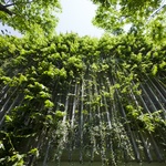 Foto: Hiroyuki Oki