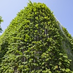 Foto: Hiroyuki Oki