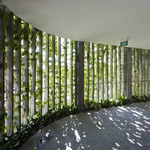 Foto: Hiroyuki Oki