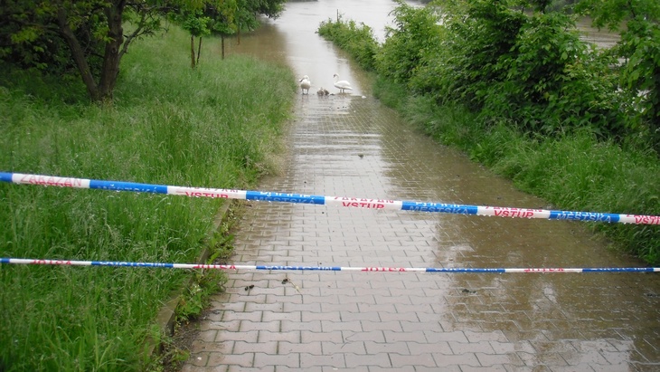 Praha Podolí 2013, foto D.Kopačková, TZB-info