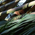 Foto: Con Lo Que Hay /ENSUSITIO Arquitectura