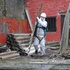 Azbest: Kam s nebezpečným stavebním odpadem?