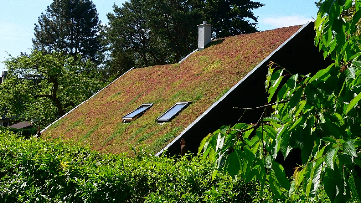 Instalace zelené střechy do 2 týdnů: výhodná investice na celý život