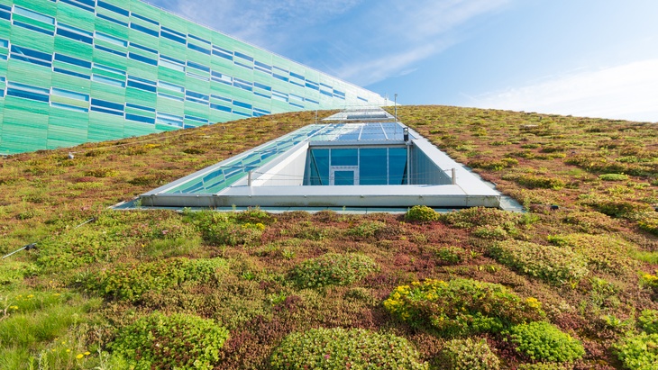 zelená vegetační střecha