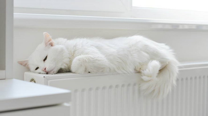 S topnou sezónou přinášíme tipy, jak nejlépe vyladit topení S topnou sezónou přinášíme tipy, jak nejlépe vyladit topení