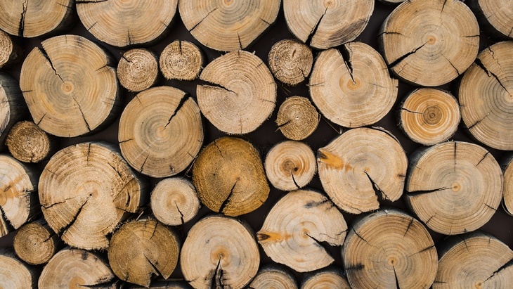 Dřevo je jeden z nejstarších stavebních materiálů, neustále se obnovuje a dorůstá