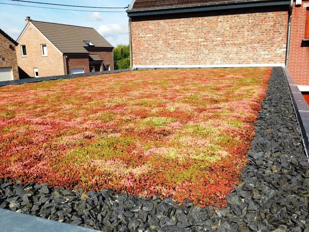Systém pro zelené střechy Urbanscape od Knauf Insulation