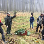 Nadace dřevo pro život - Ukážeme vám les, jak ho neznáte