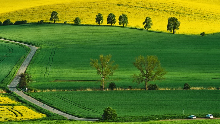 Zemědělská půda je klíčová komodita, nelze ji vytvořit a je jí omezené množství, fotolia.com © Jakub