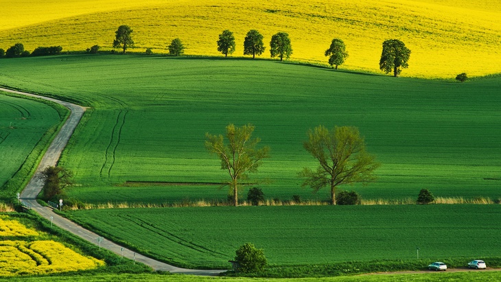 Zemědělská půda je klíčová komodita, zdroj: fotolia.com © Jakub Zemědělská půda je klíčová komodita, nelze ji vytvořit a je jí omezené množství, fotolia.com © Jakub