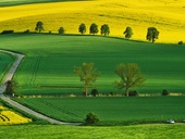 Zemědělská půda je klíčová komodita, nelze ji vytvořit a je jí omezené množství, fotolia.com © Jakub